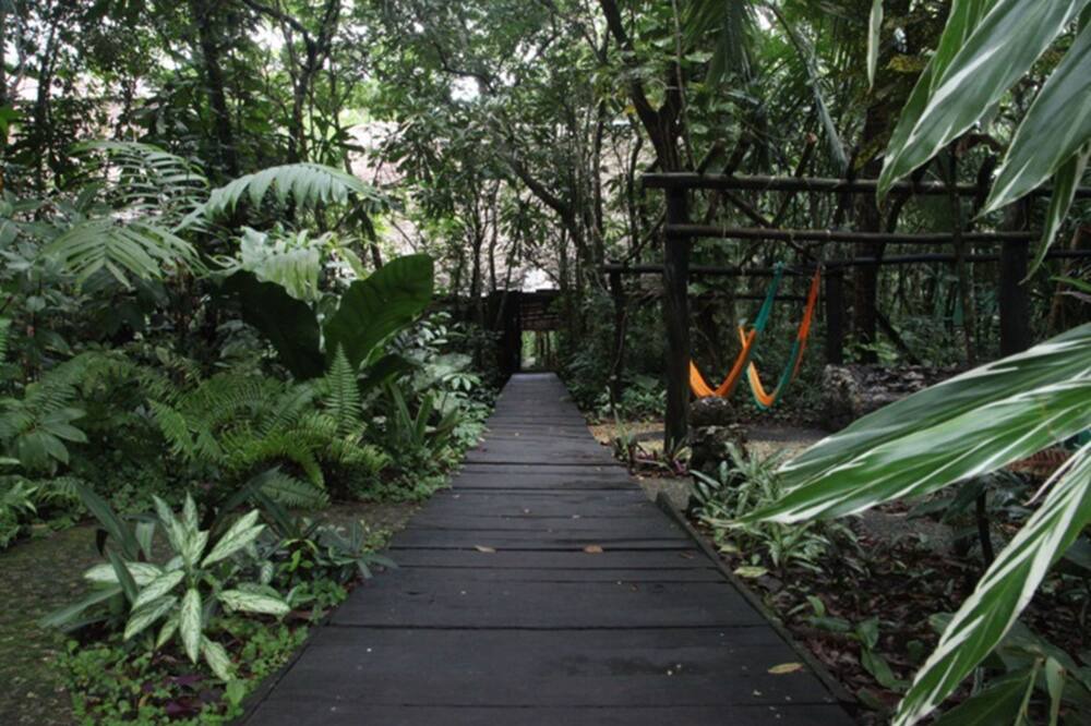 Photo of Outdoor in Puerto Barrios