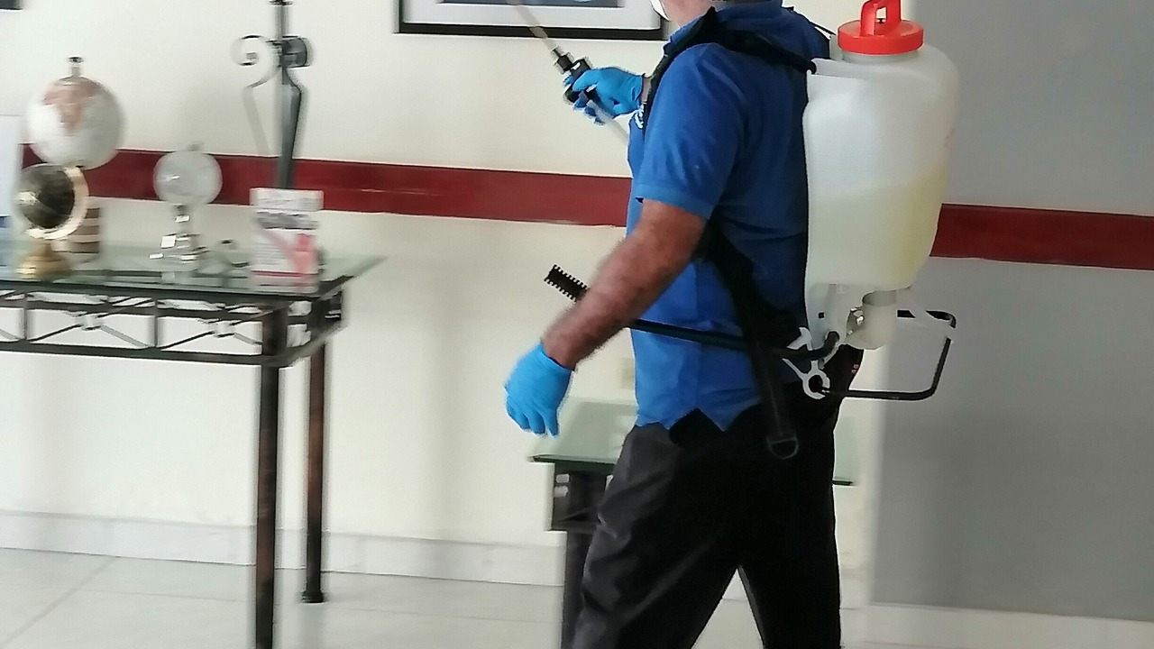 Photo of Others in Reynosa