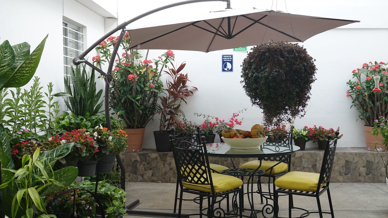 Photo of Outdoor in Colima