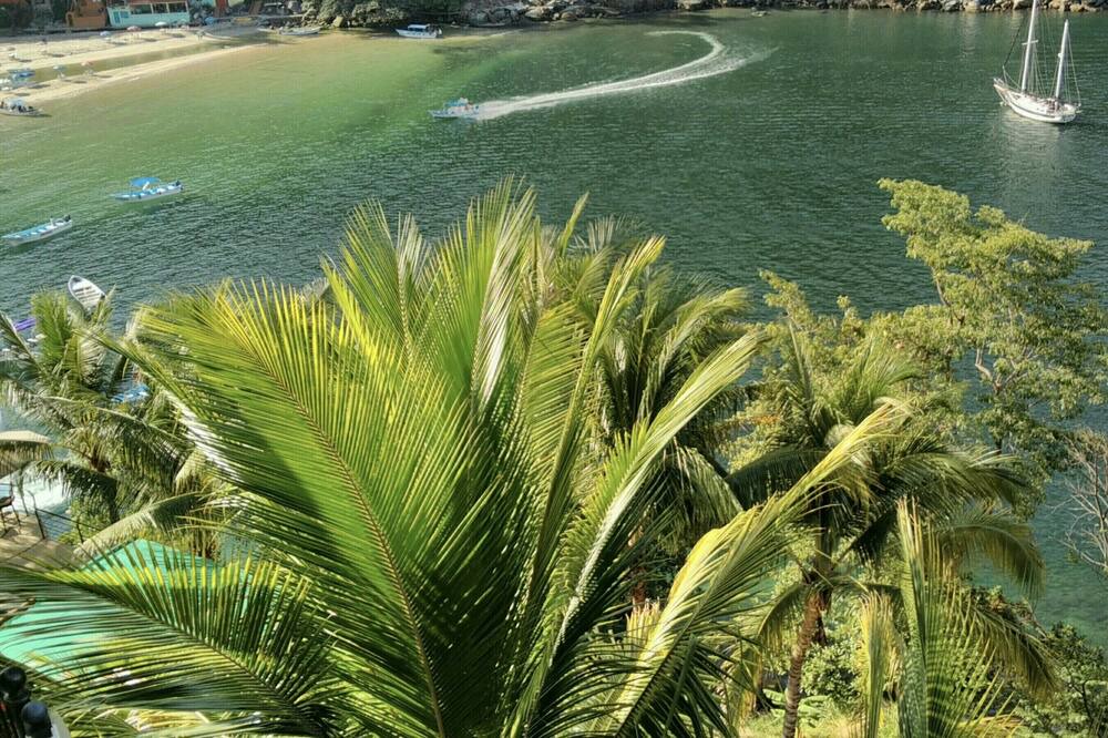Photo of Outdoor in Boca de Tomatlan