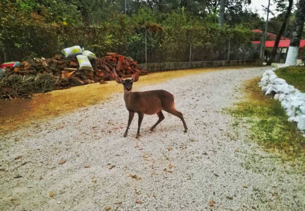 Photo of Outdoor in Chimaltenango