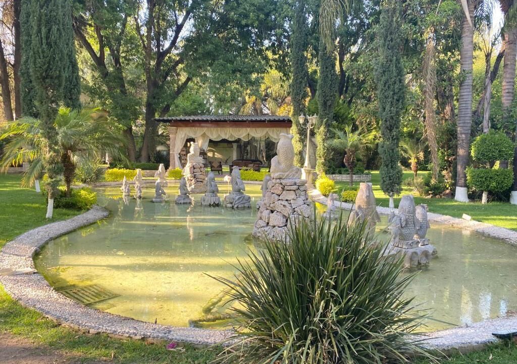 Photo of Others in Centro