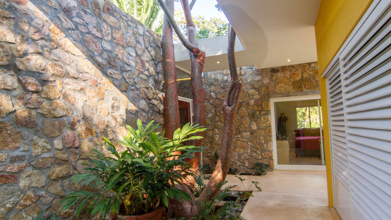 Photo of Outdoor in Chacala