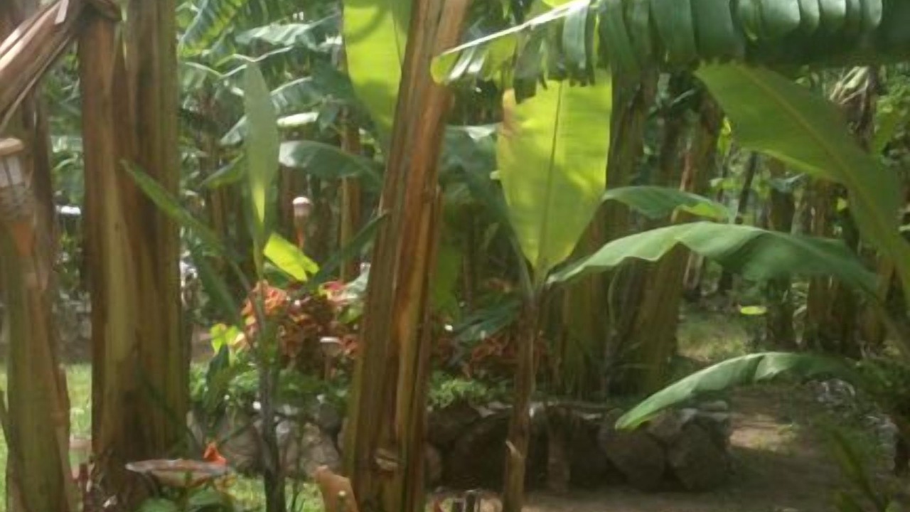 Photo of Outdoor in Jaibalito