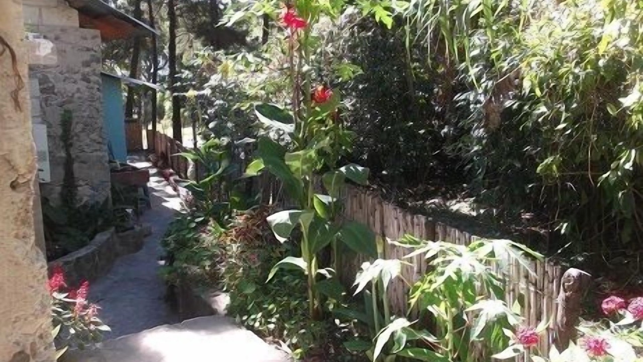 Photo of Outdoor in Jaibalito