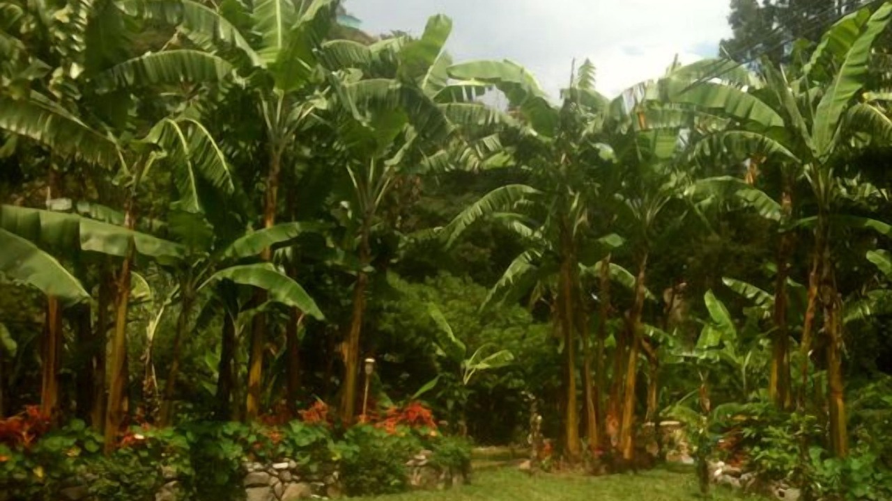 Photo of Outdoor in Jaibalito