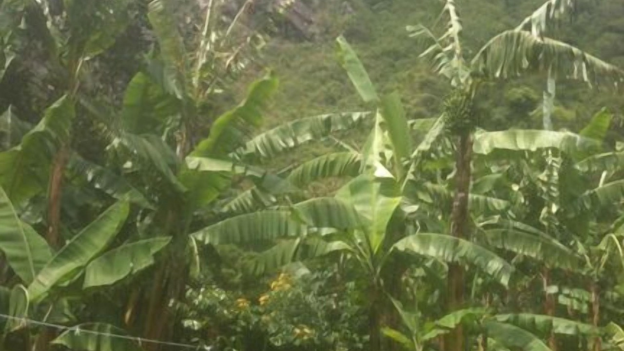 Photo of Outdoor in Jaibalito
