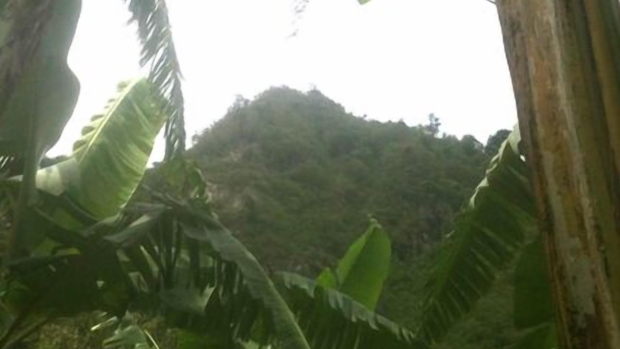 Photo of Outdoor in Jaibalito
