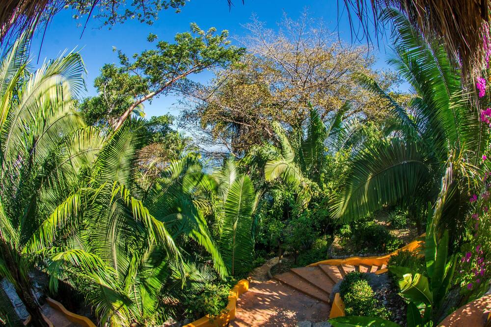 Photo of Outdoor in Boca de Tomatlan