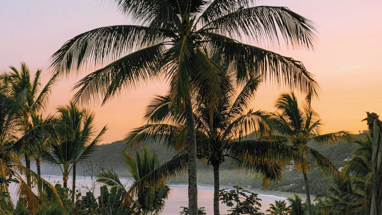 Photo of Others in Sayulita