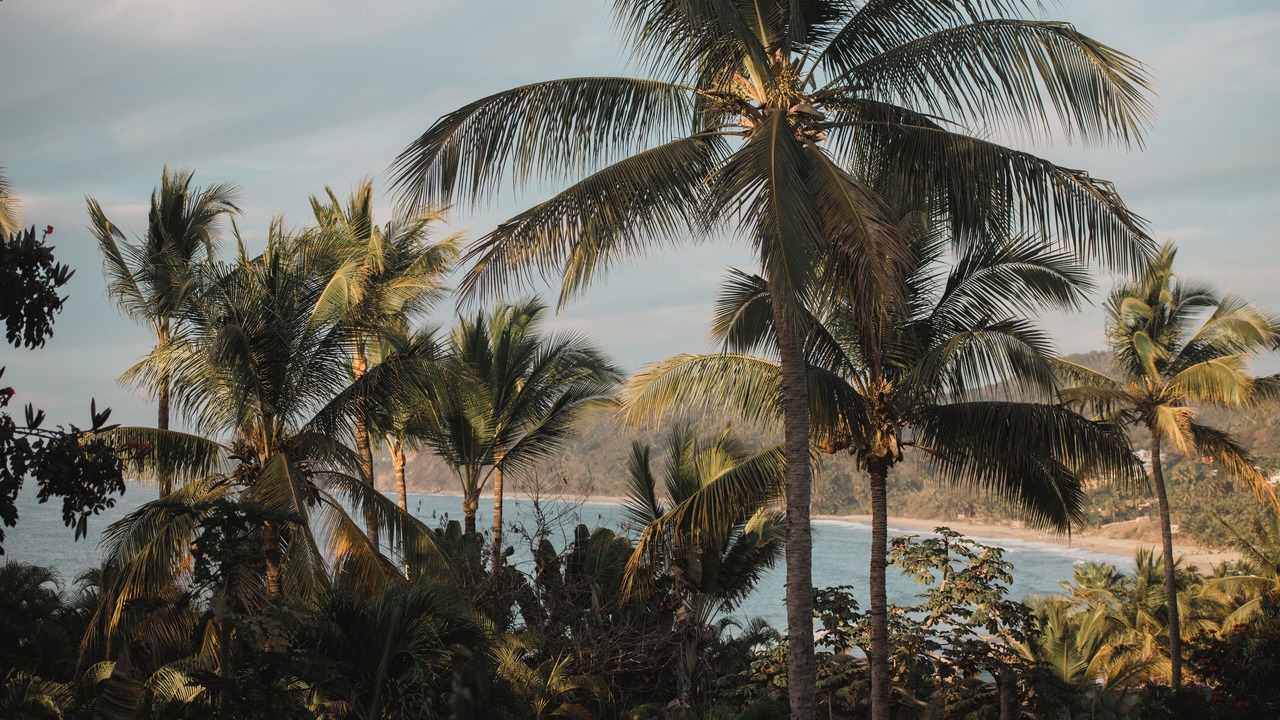 Photo of Others in Sayulita