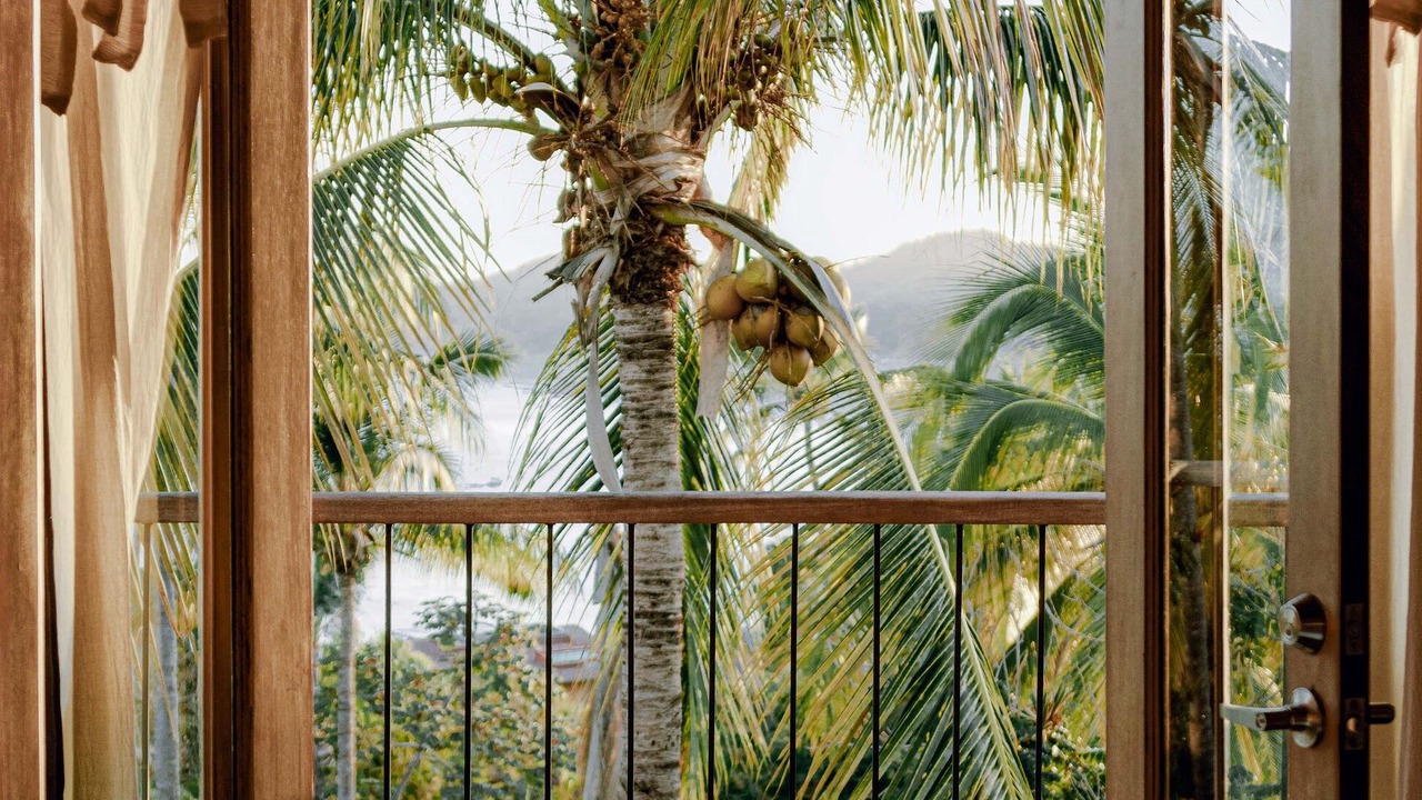 Photo of Others in Sayulita
