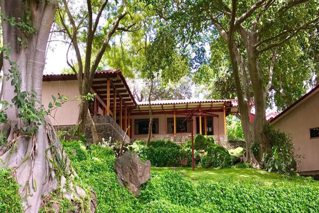Photo of Outdoor in Cerro de Oro