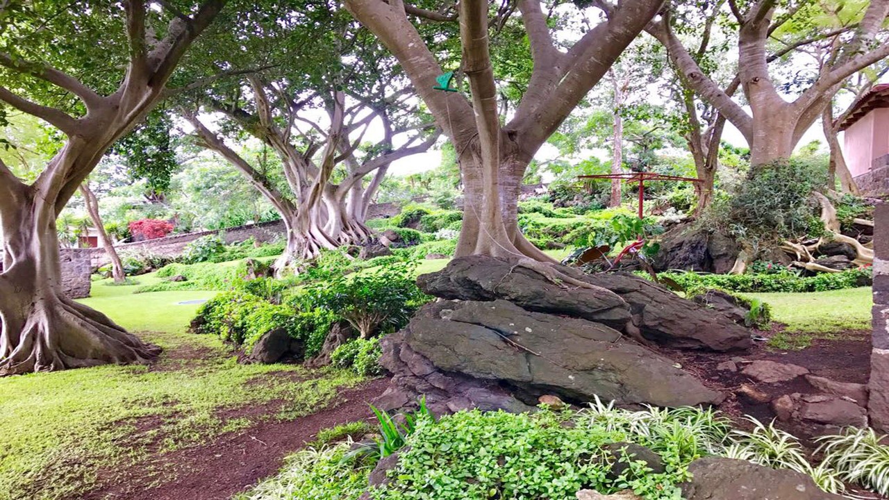 Photo of Outdoor in Cerro de Oro