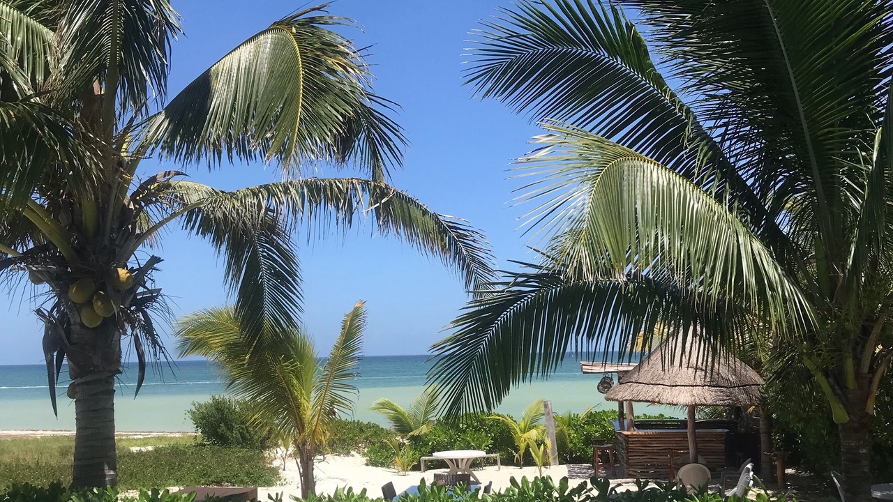 Photo of Outdoor in San Benito