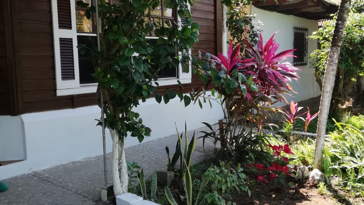 Photo of Outdoor in Puerto Barrios