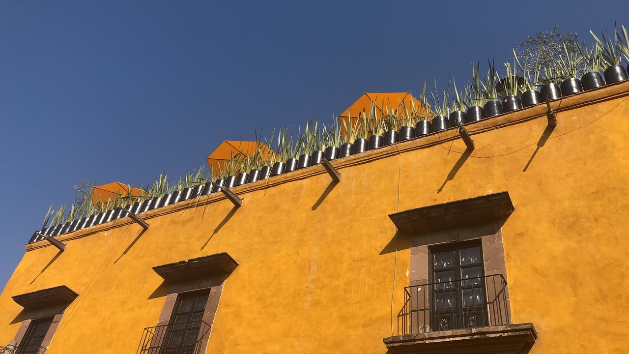 Photo of Outdoor in Zona Centro