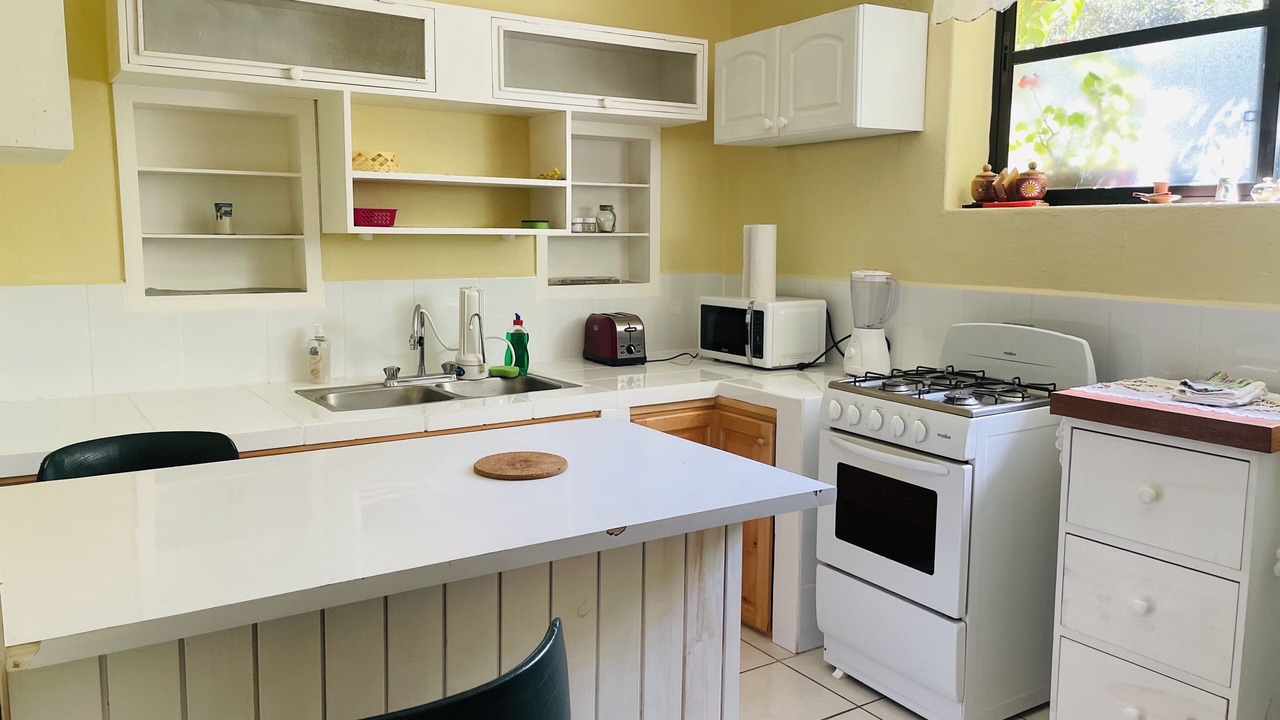 Photo of Kitchen in Panajachel