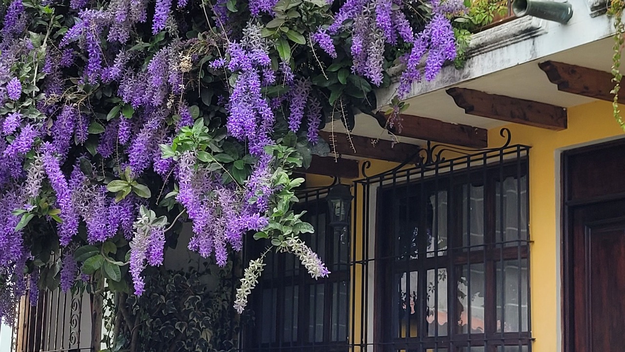 Photo of Outdoor in Santa Ana