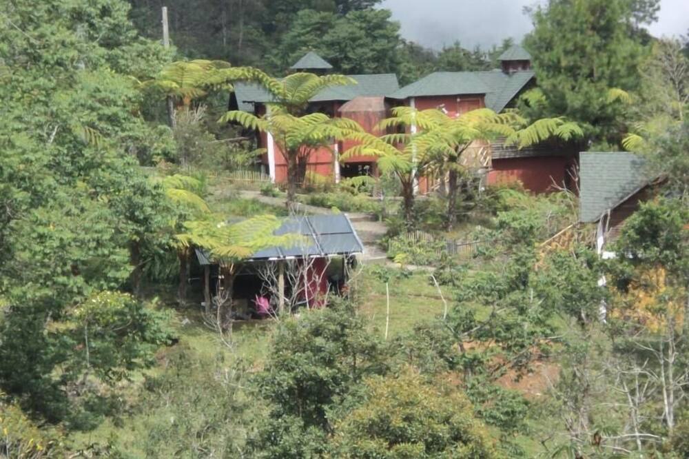 Photo of Outdoor in Purulha
