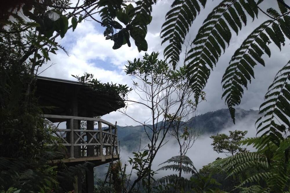 Photo of Outdoor in Purulha