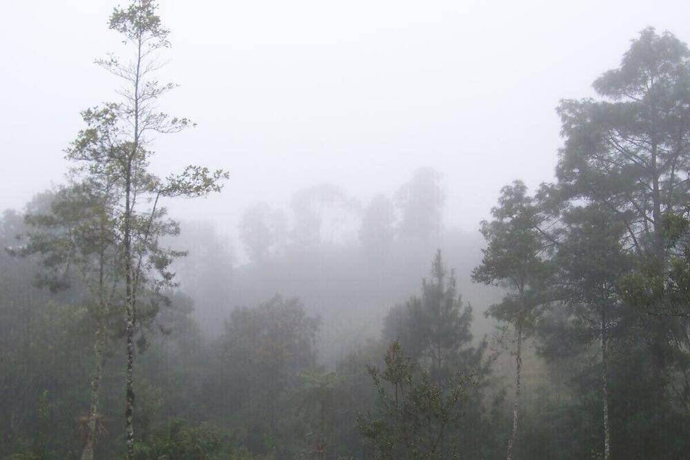 Photo of Outdoor in Purulha
