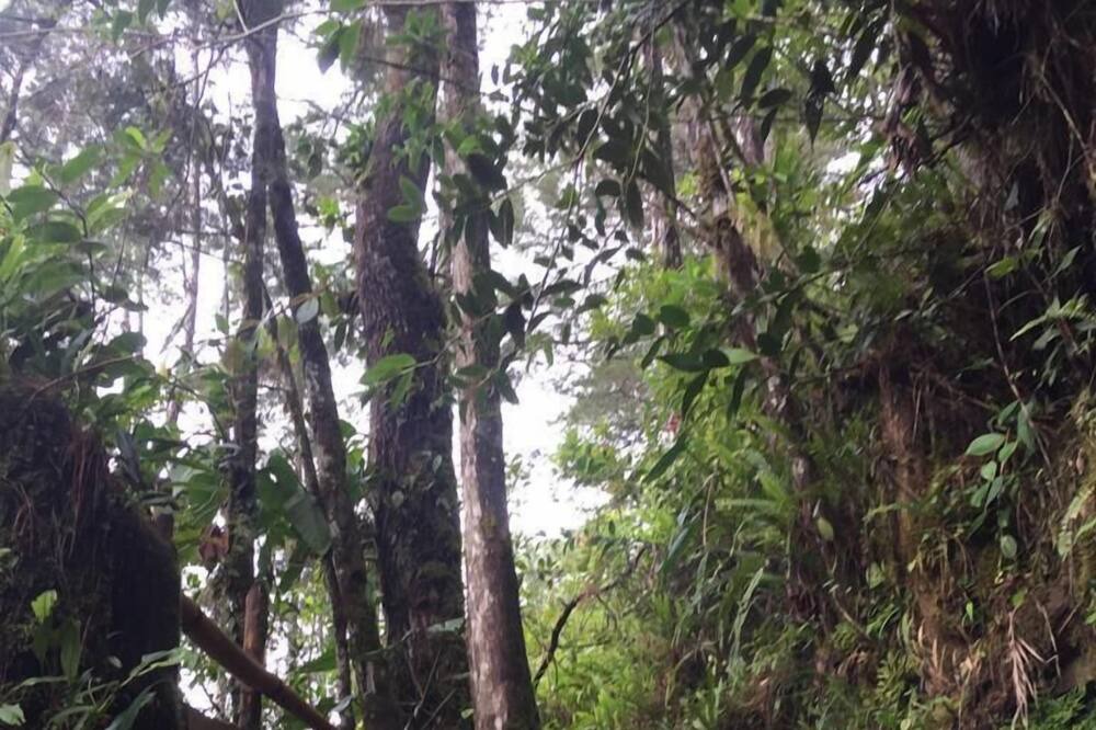 Photo of Outdoor in Purulha