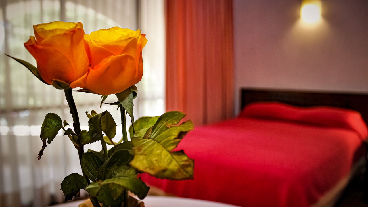 Photo of Bedroom in Centro