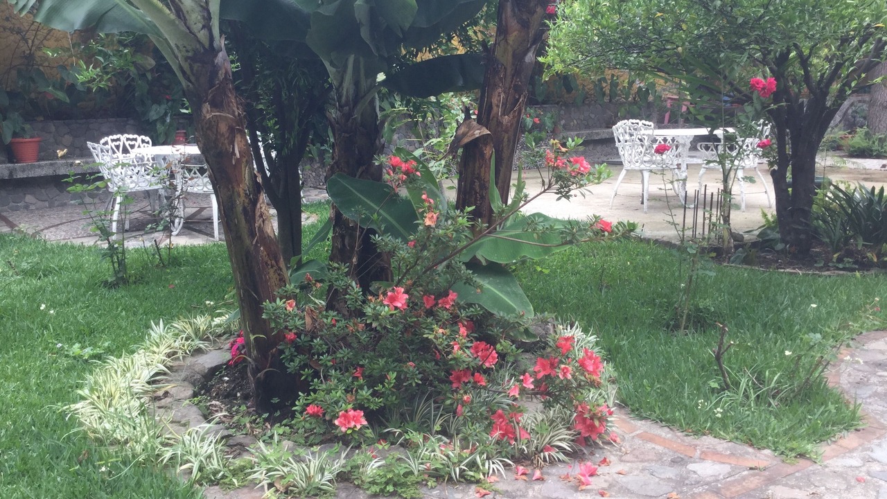 Photo of Outdoor in Panajachel