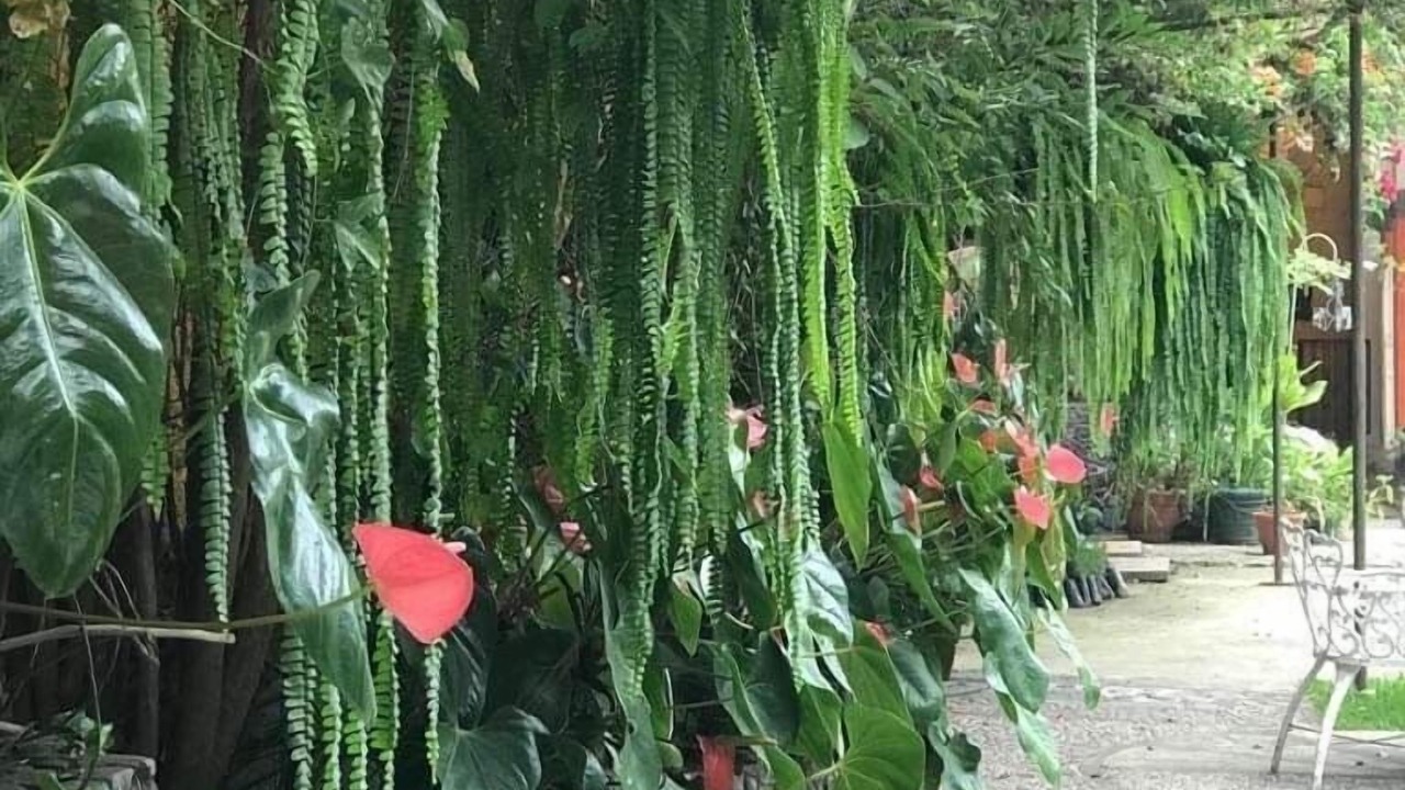 Photo of Outdoor in Panajachel