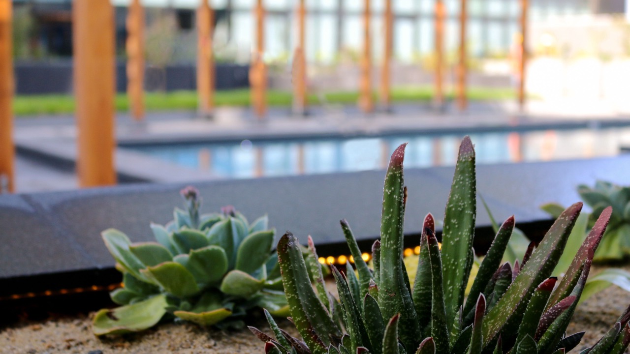Photo of Outdoor in Zona Rio