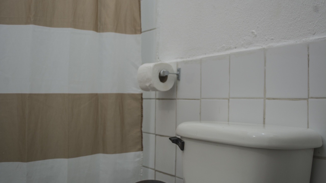 Photo of Bathroom in Zona 1