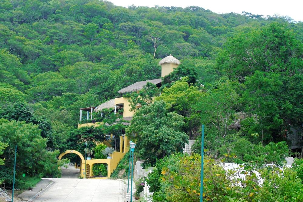 Photo of Outdoor in Crucecita