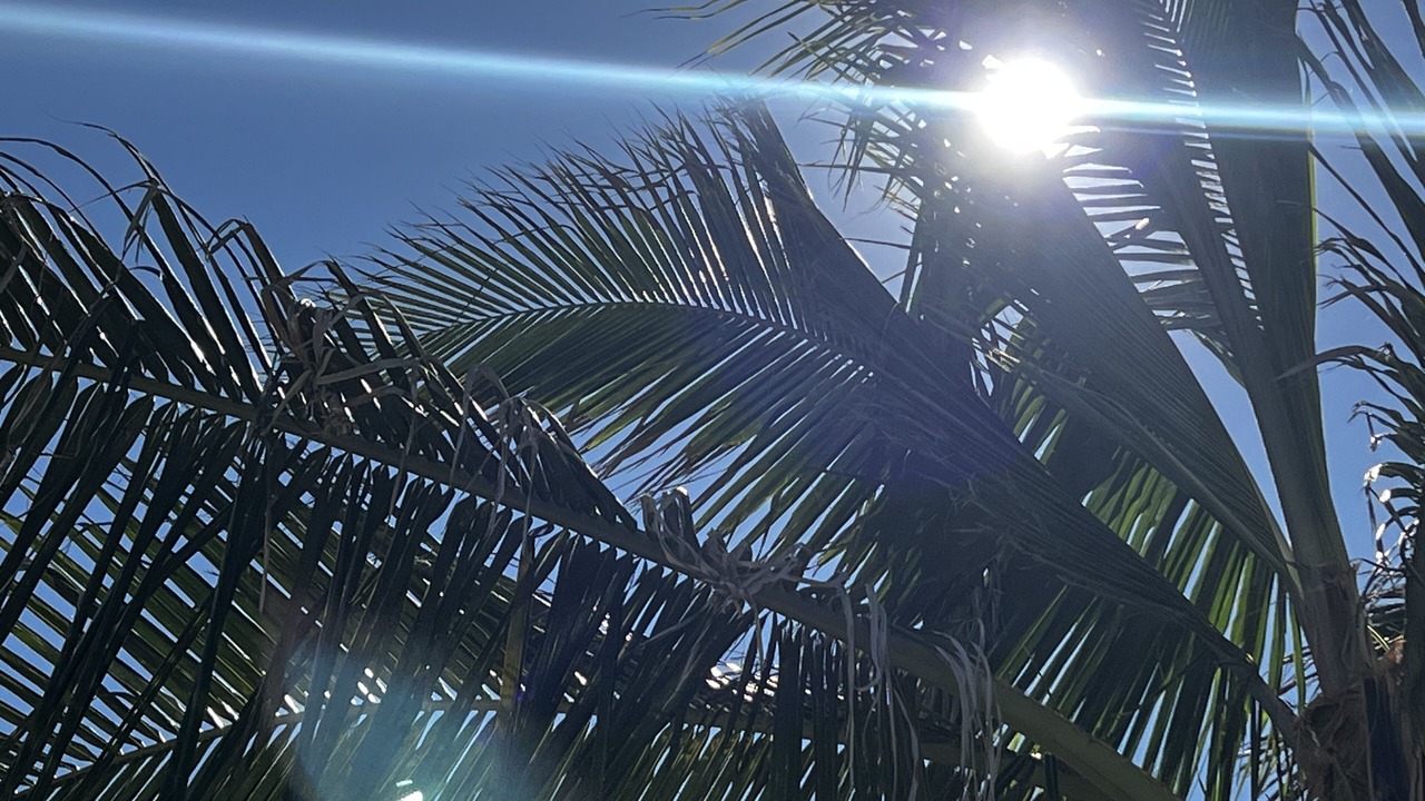 Photo of Outdoor in Acapulco