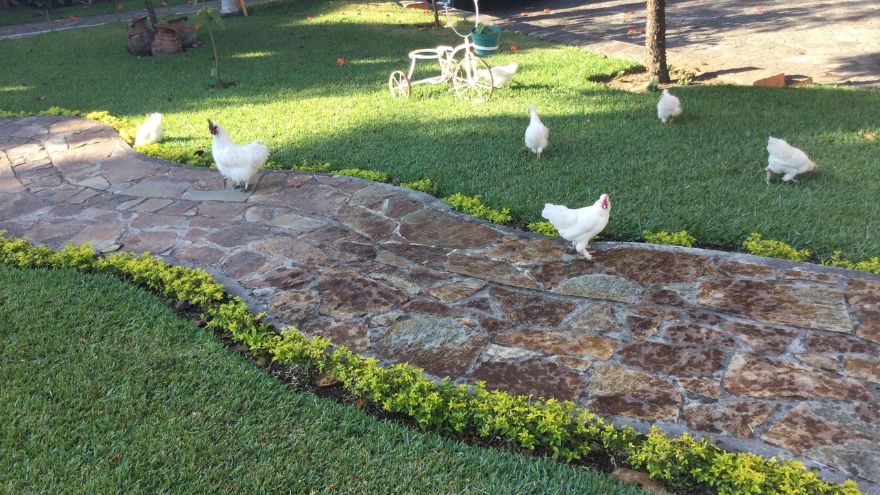 Photo of Outdoor in Santiago Atitlan