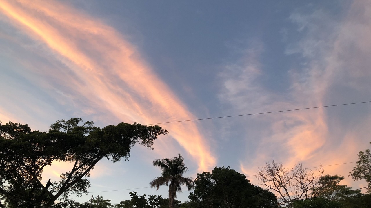 Photo of Outdoor in Comalcalco