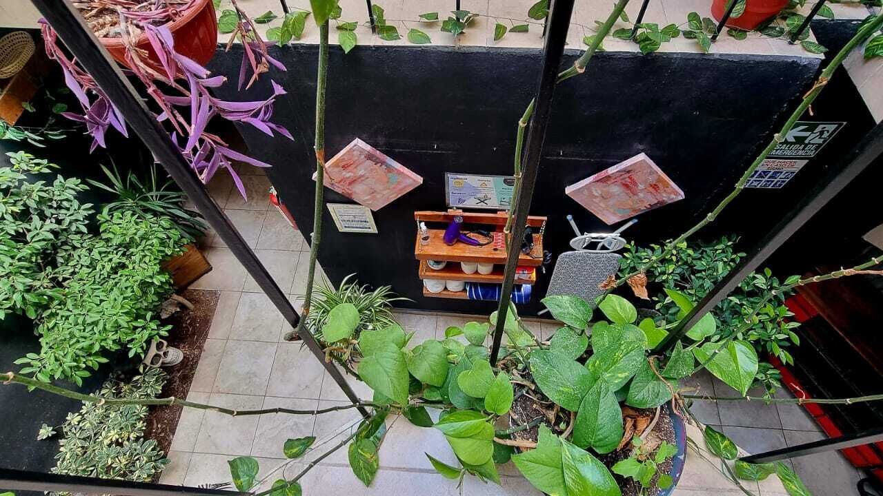 Photo of Patio Balcony in San Luis Potosi