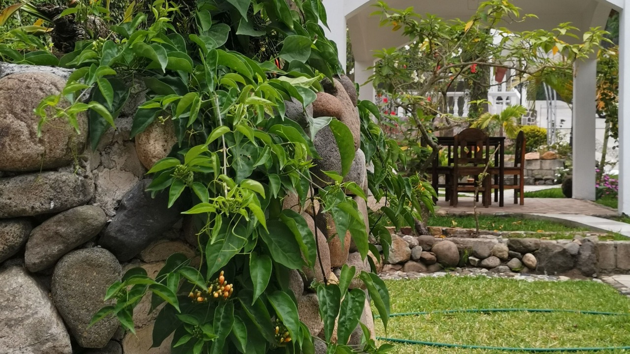 Photo of Others in Santiago Atitlan