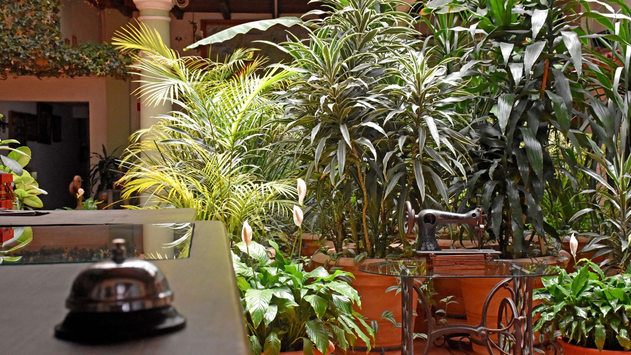 Photo of Outdoor in De La Merced