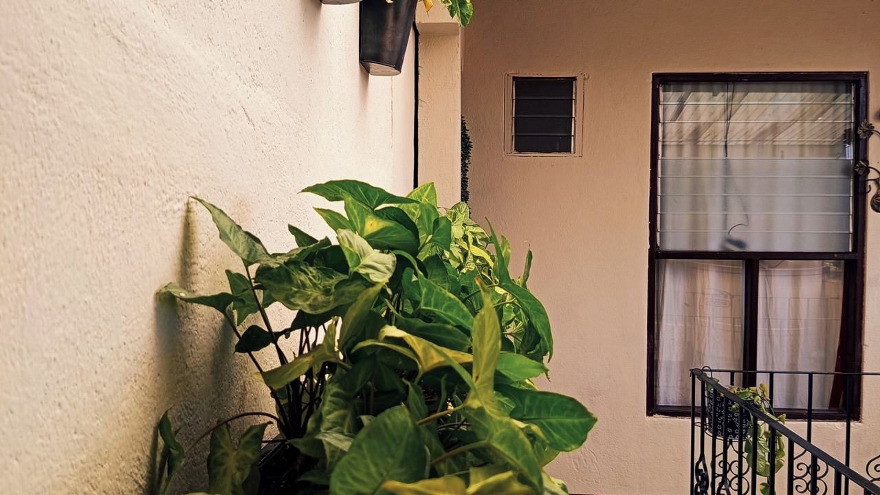 Photo of Outdoor in Antigua Guatemala