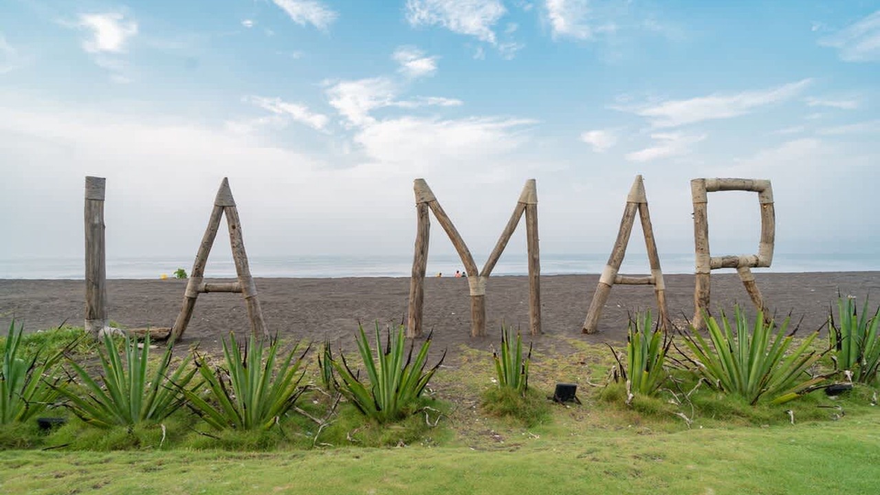 Photo of Others in Monterrico