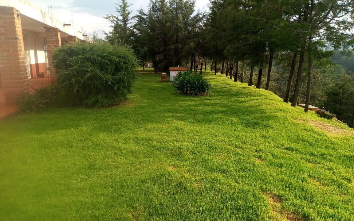 Photo of Outdoor in Nanacamilpa
