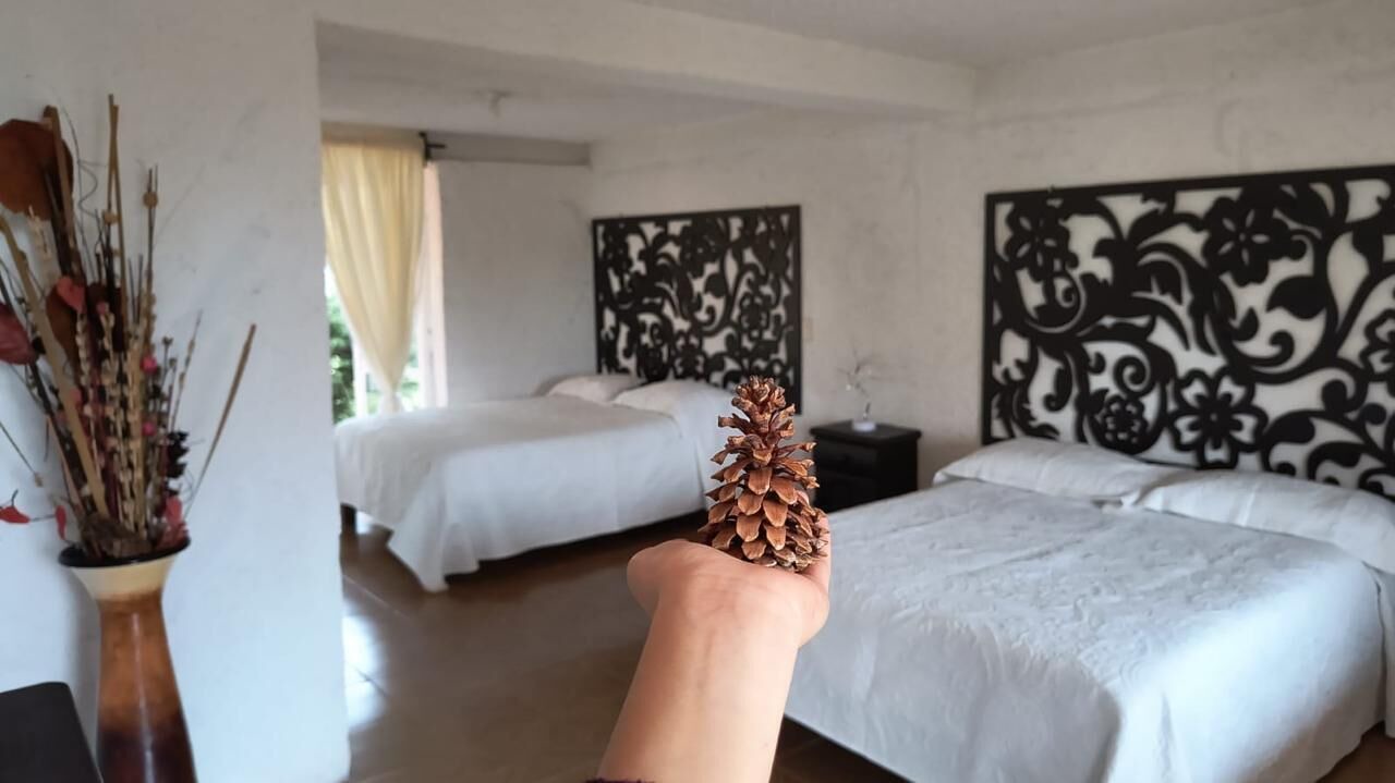 Photo of Bedroom in Nanacamilpa