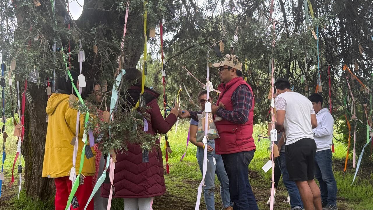 Photo of Others in Nanacamilpa