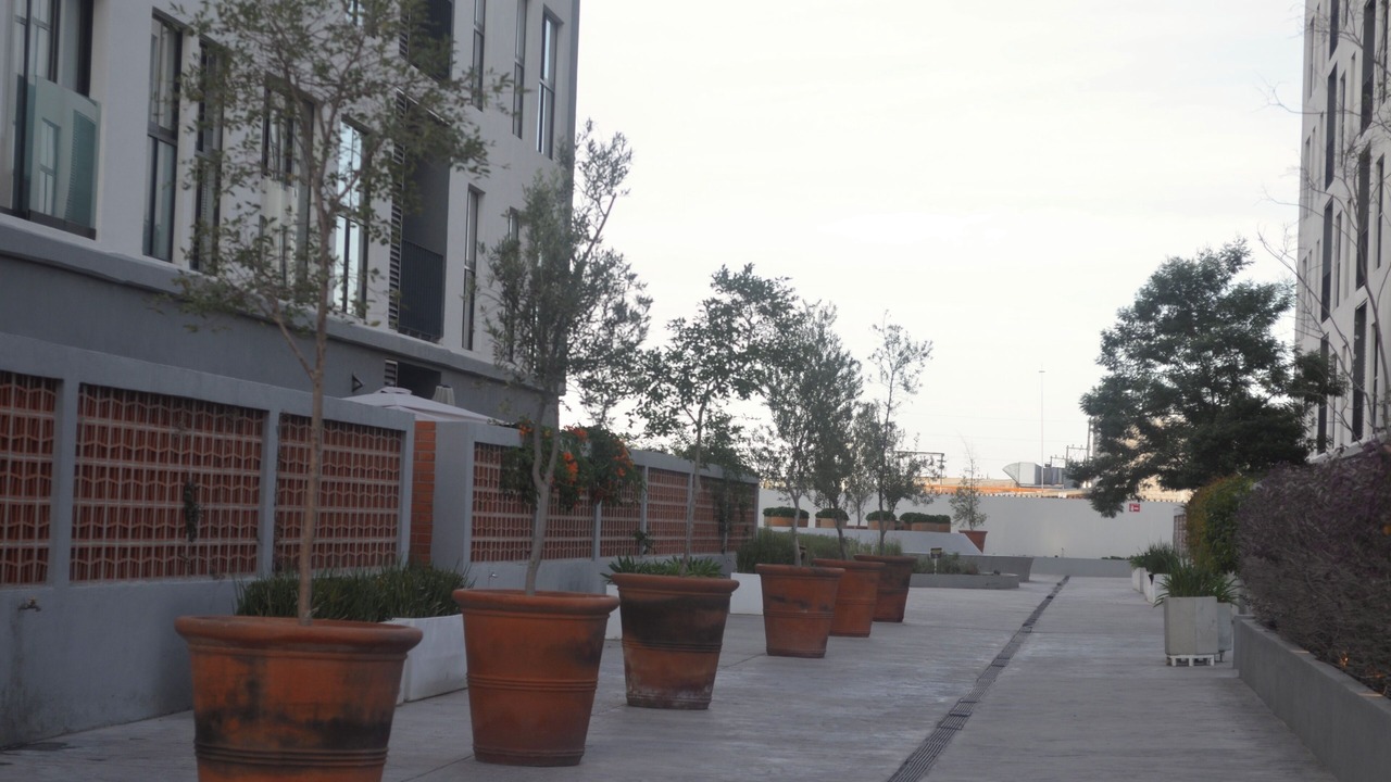 Photo of Outdoor in Zapopan