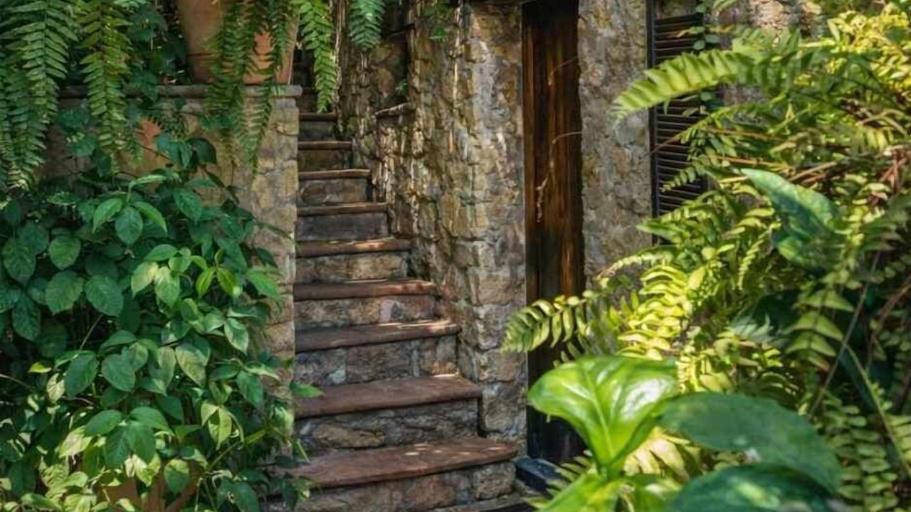 Photo of Outdoor in Tequesquitengo