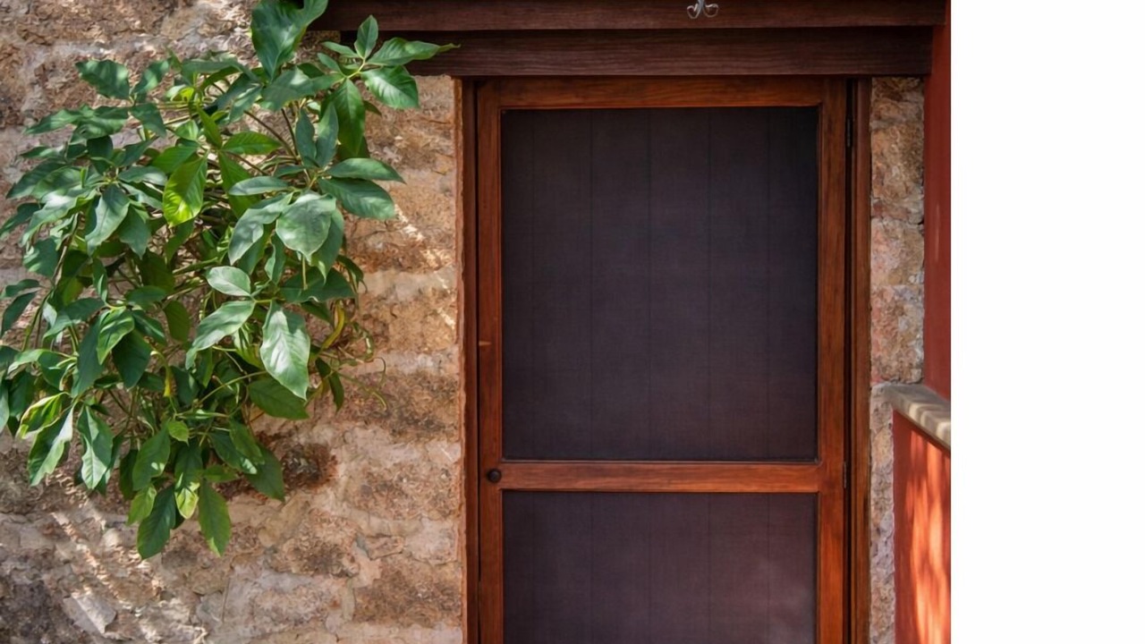 Photo of Outdoor in Tequesquitengo