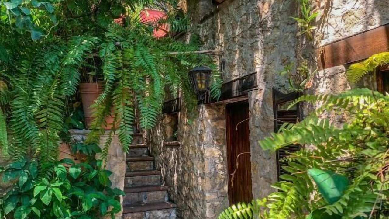 Photo of Outdoor in Tequesquitengo