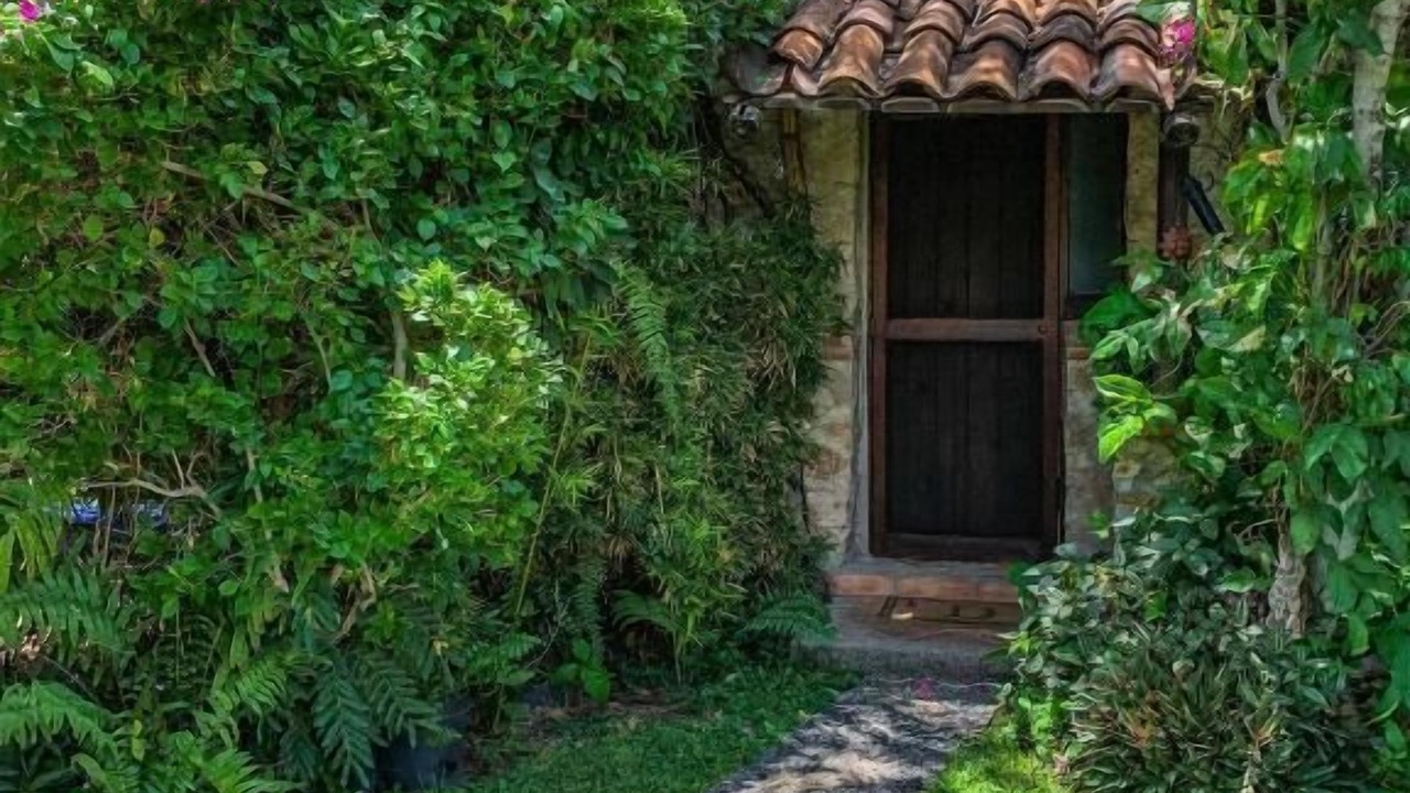Photo of Outdoor in Tequesquitengo