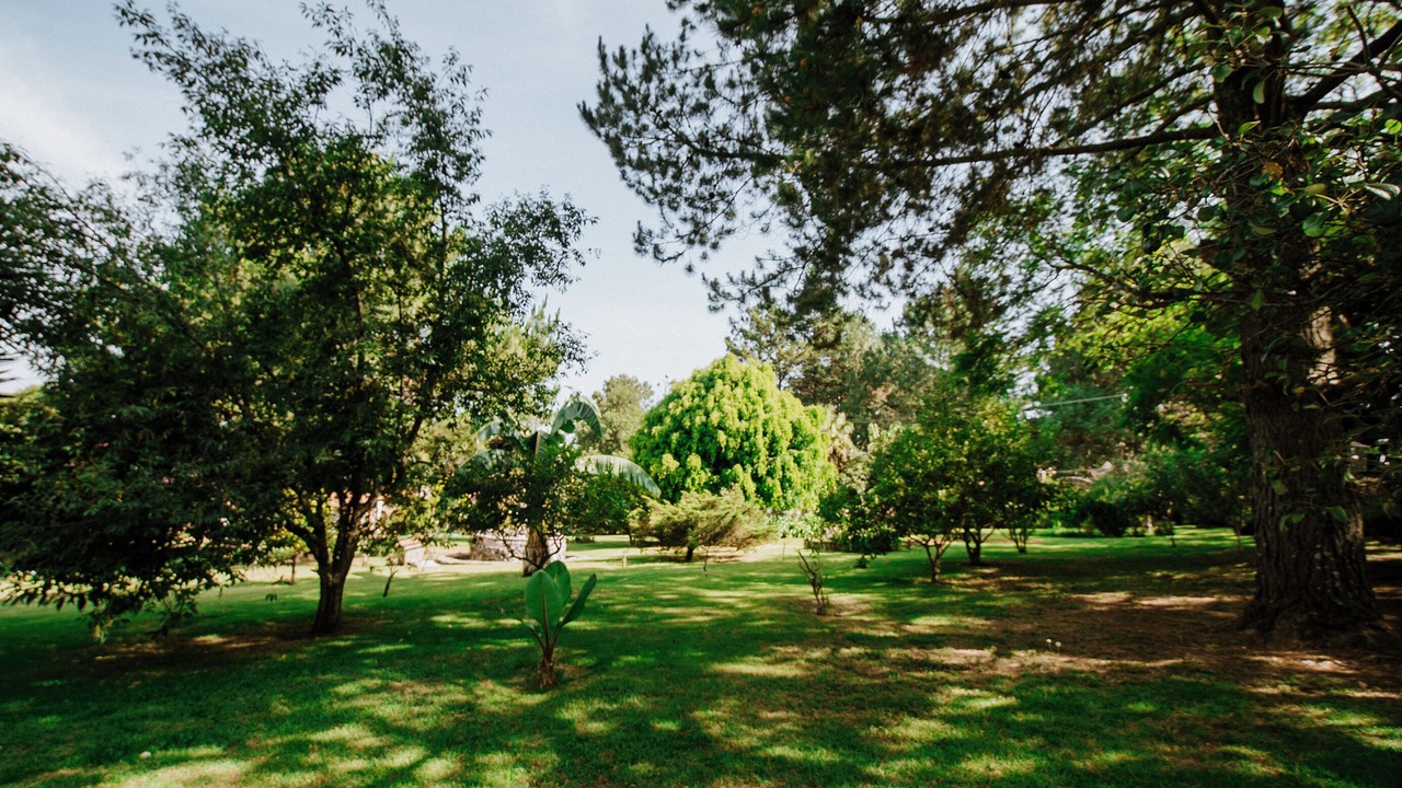 Photo of Outdoor in Mazamitla